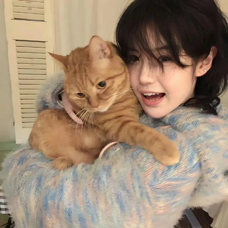 碧丽莎的情人第二集