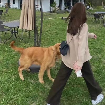 黑暗之下